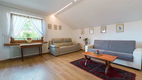Successful Airbnb property: Dolomiti Home in Pieve Di Cadore