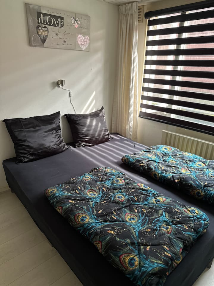 Habitación 4