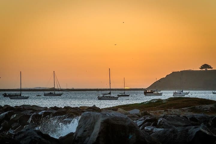 Oasis Near Beach & Harbor