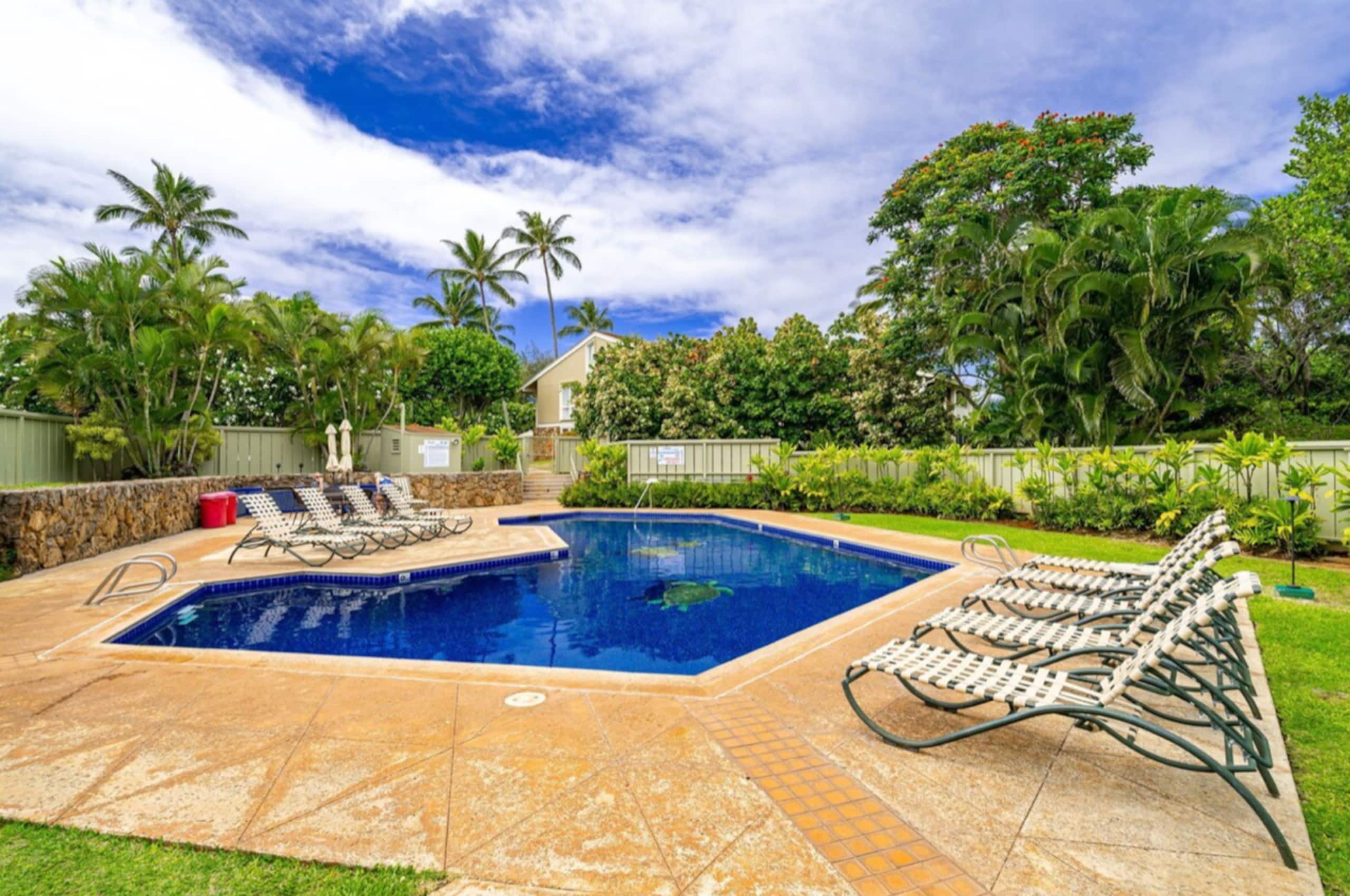 Condo in Kahuku · ★4.95 · 1 bedroom · 2 beds · 1 bath - Image 18