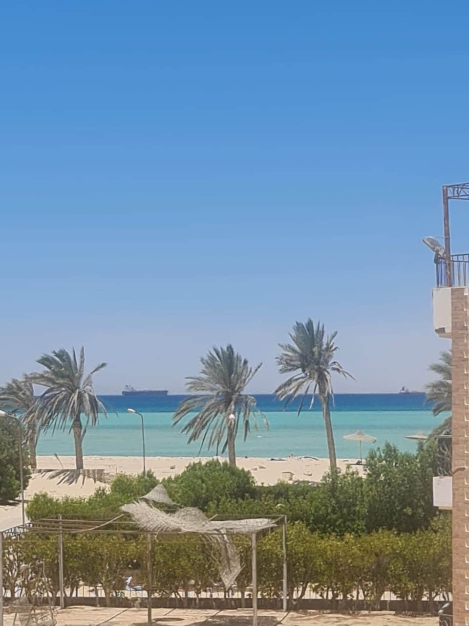 A scenic view of a sandy beach bordered by swaying palm trees. The clear blue water glistens under the sun, and cargo ships can be seen in the distance, adding to the coastal charm of the setting.