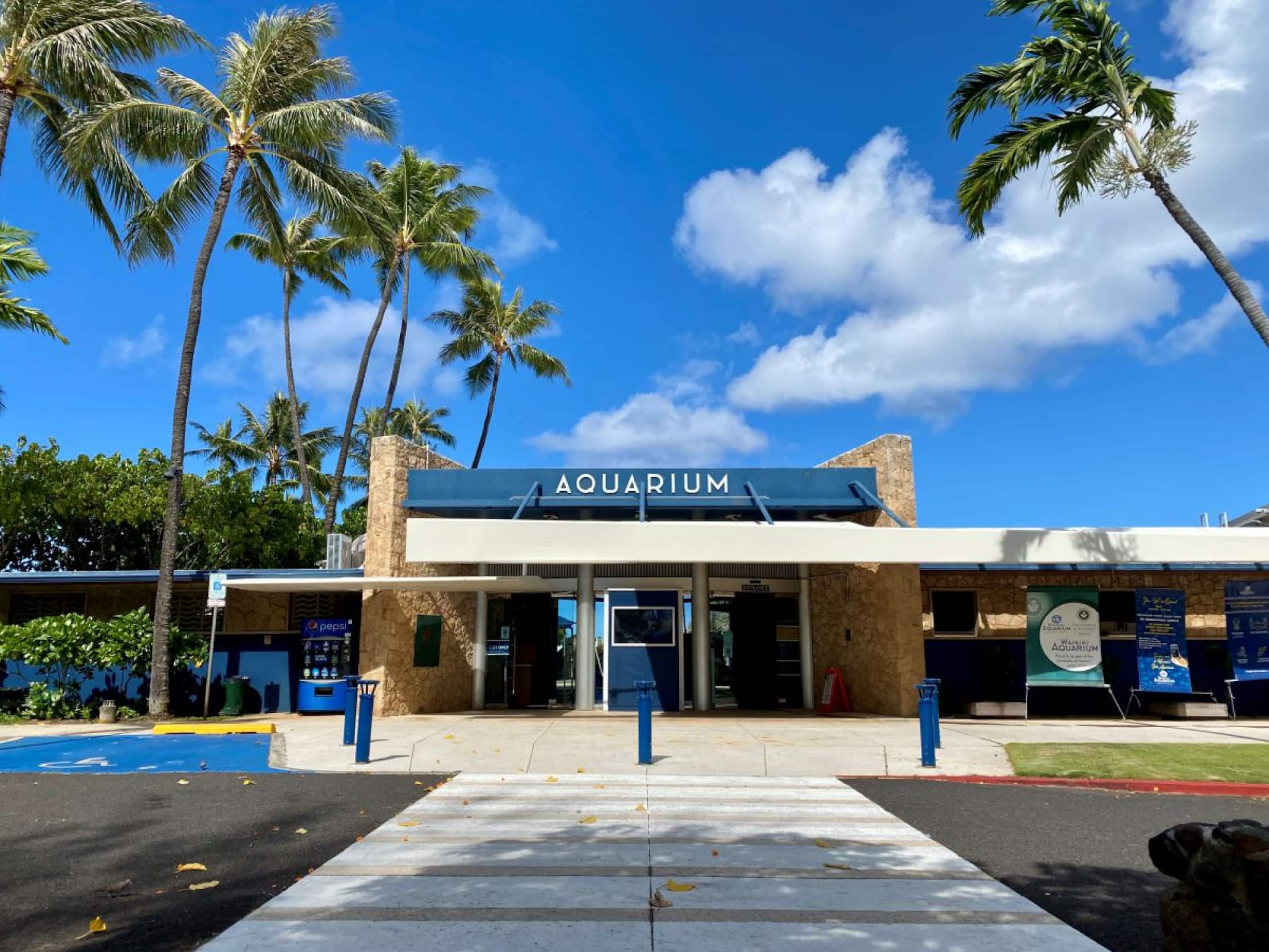 Hotel in Honolulu · ★4.88 · 1 bedroom · 1 bed · 1 private bath - Image 25