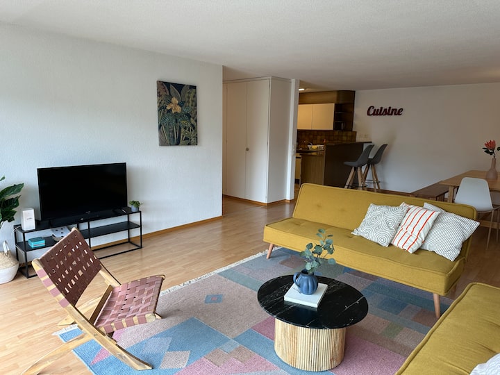 Bright Apartment With 1 Free Parking Buc 02 - Lucerne
