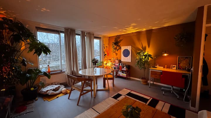 მისაღები ოთახი