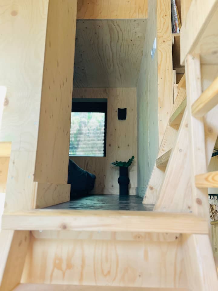 Habitación 1
