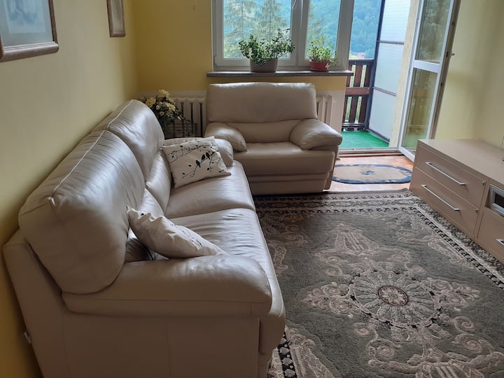 Apartament W Pieninach - Szczawnica