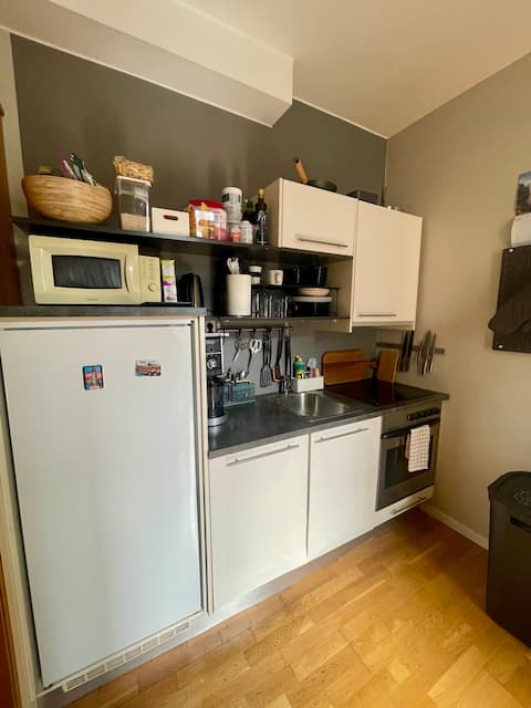 Cozy and central studio apartment in Oslo