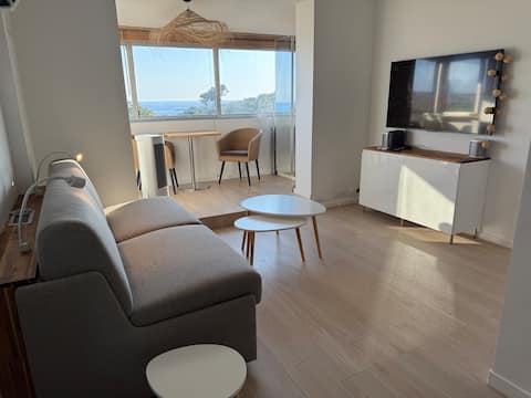 Successful Airbnb property: Beautiful sea view, 50 m from the beach, on the port in Sausset Les Pins