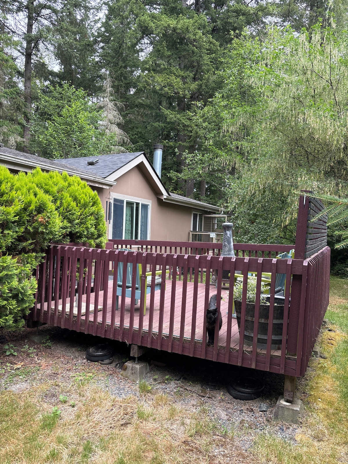 A wooden deck is seen surrounded by lush greenery, featuring a small seating area with a table and plant pots. The house is partially visible, with large windows reflecting the natural environment. The space offers a quiet outdoor area for relaxation.