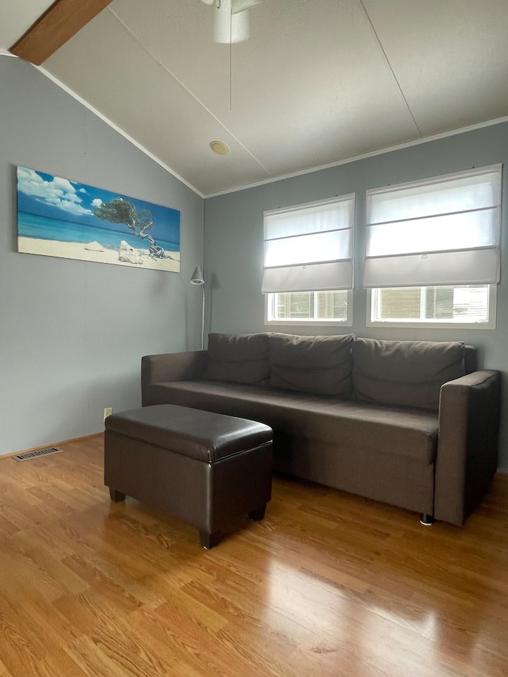 Просторна всекидневна с разтегателен диван с размер Queen, много удобен!