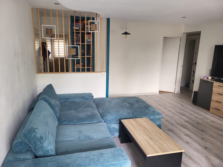 Logement Près Mulhouse Et Bâle - Sausheim