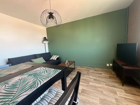 Popular Airbnb listing: Entire home - Roanne center in Roanne