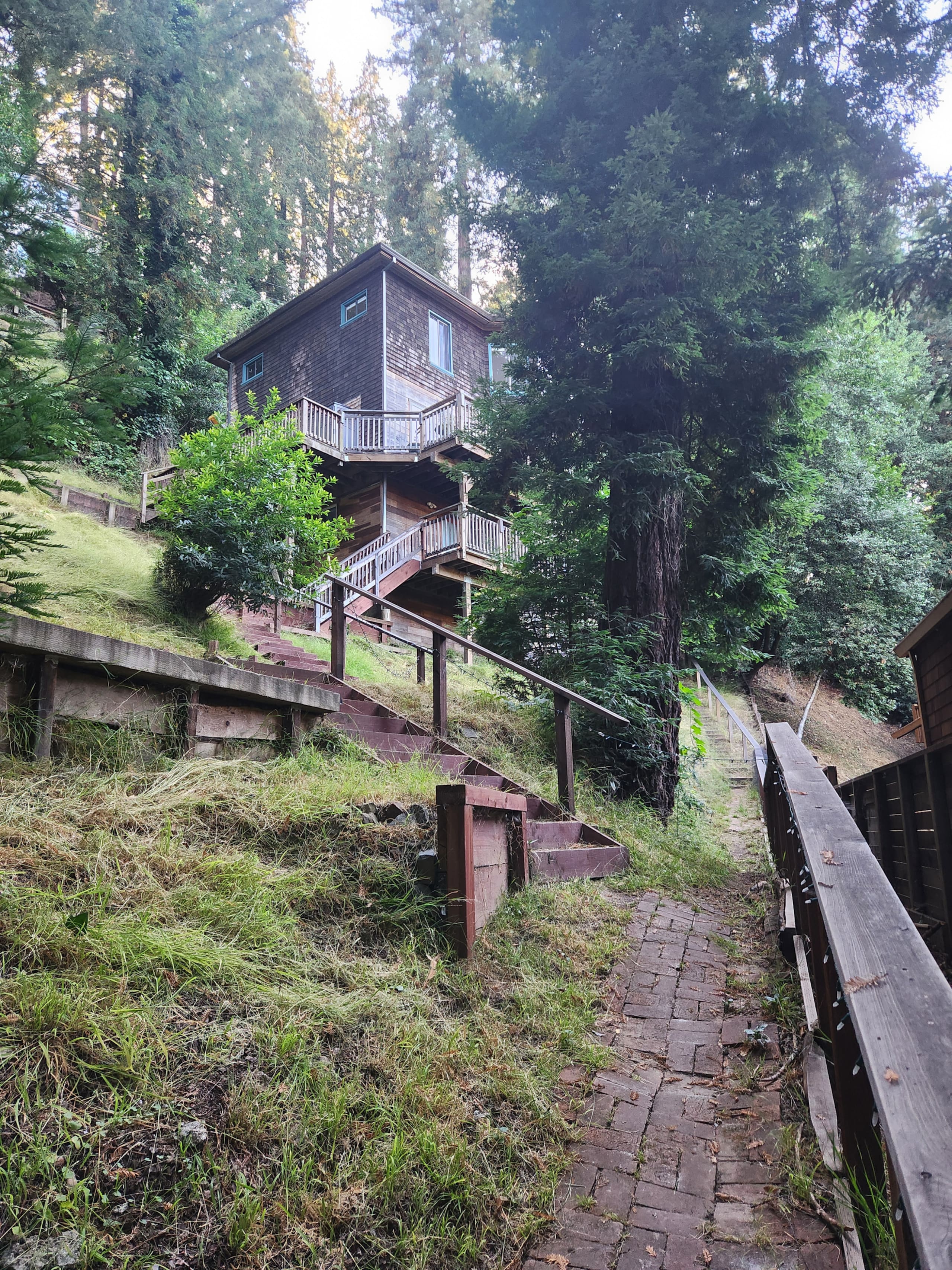 Historic 1903 Redwood Haven, Steps to Town - Photo 12