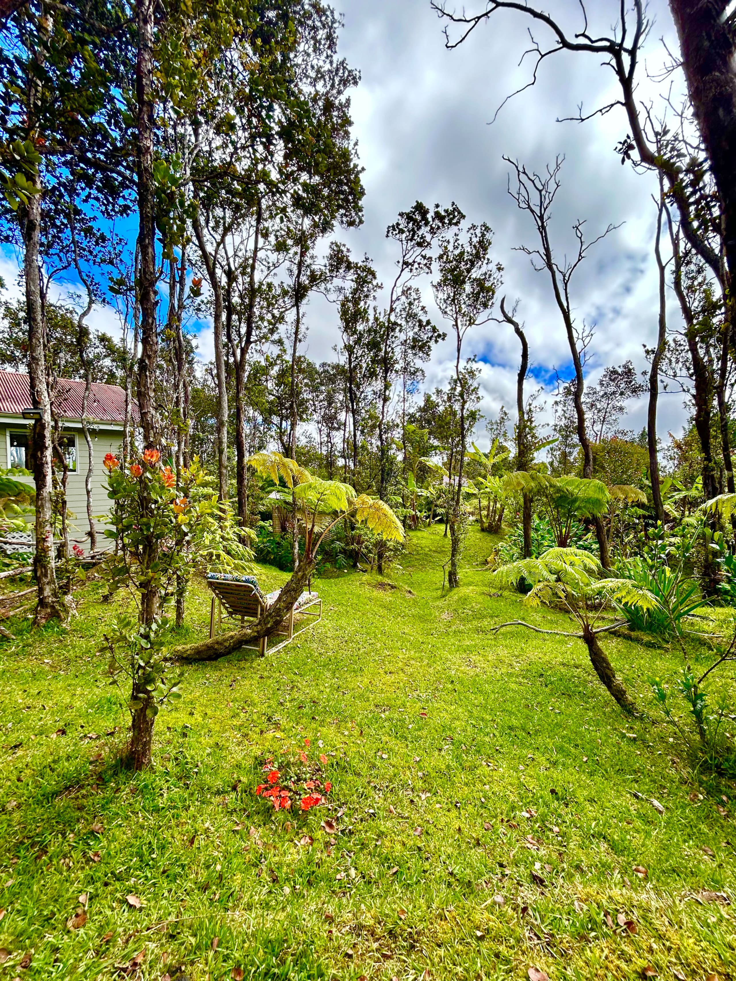 Hale Ohana- Volcano, HI - Photo 14