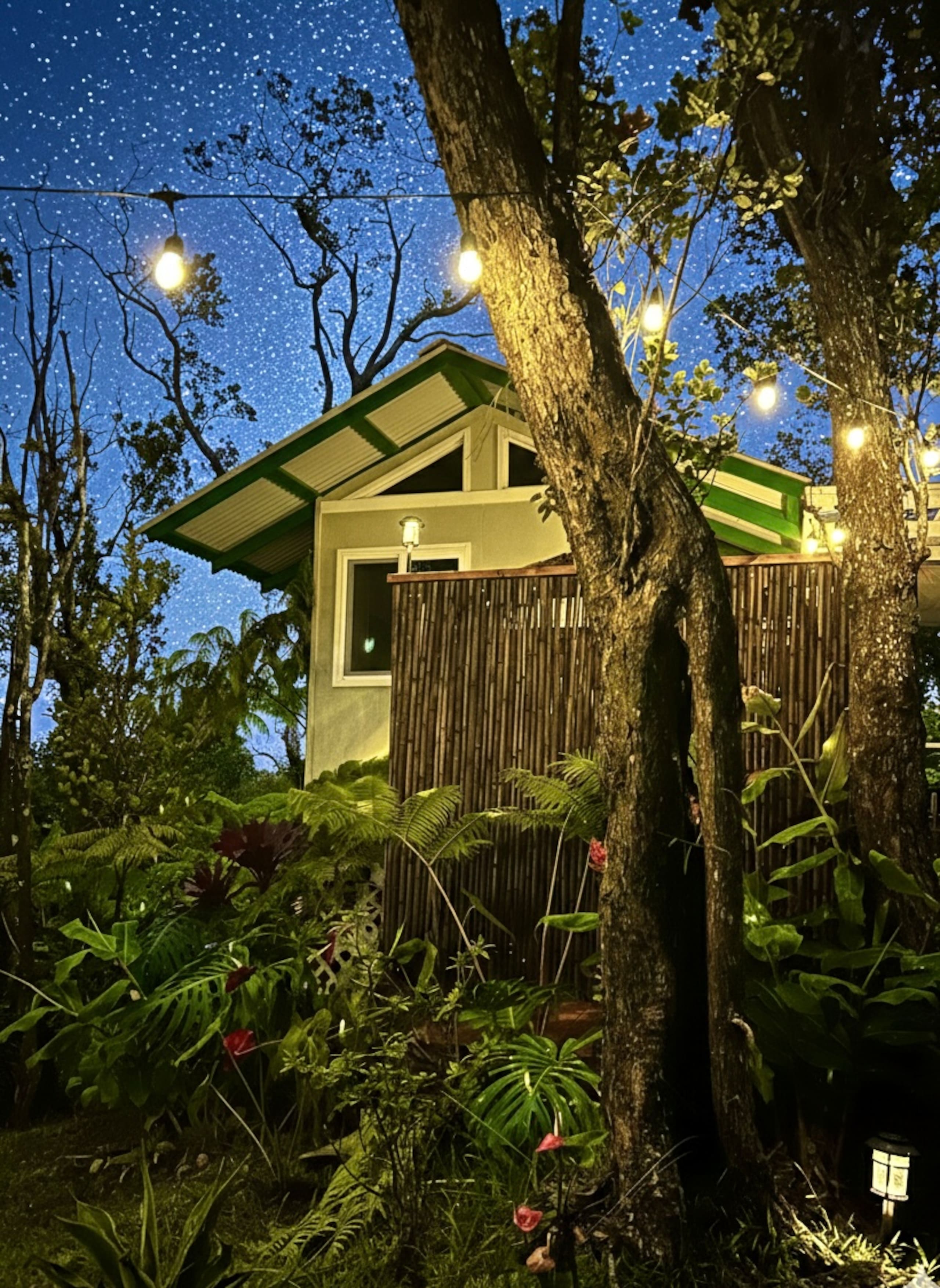 Hale Ohana- Volcano, HI - Photo 66