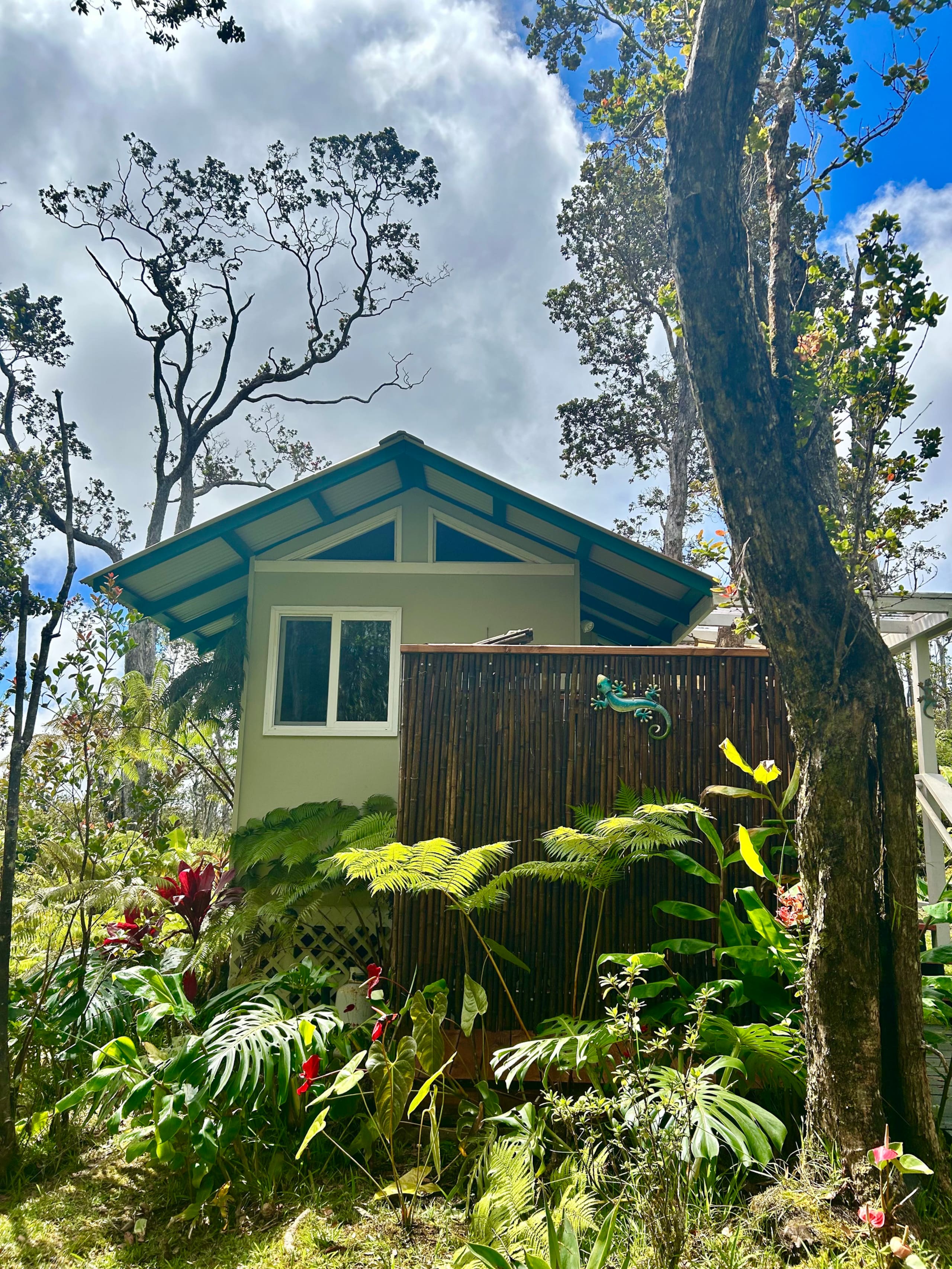 Hale Ohana- Volcano, HI - Photo 10