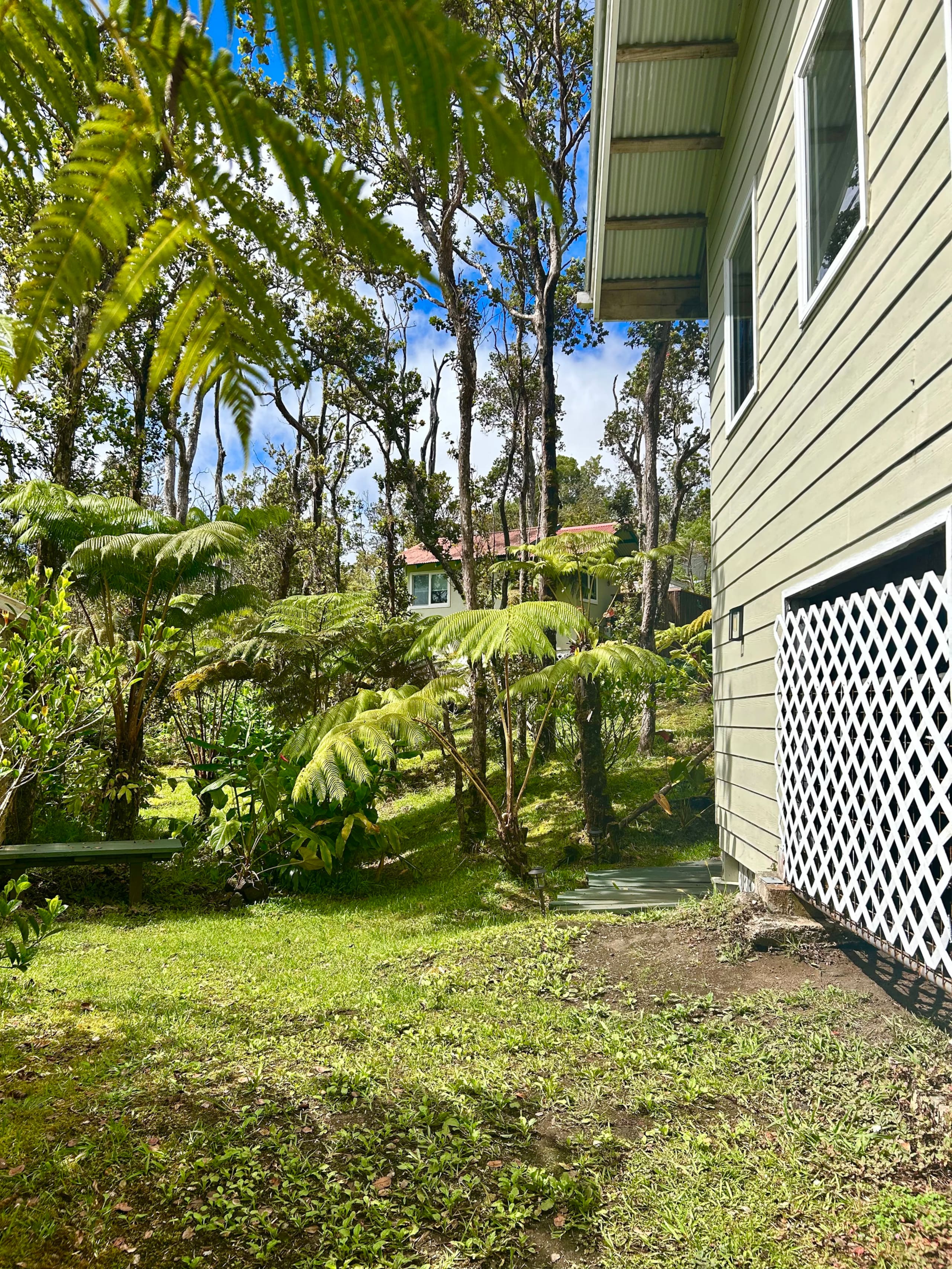 Hale Ohana- Volcano, HI - Photo 45