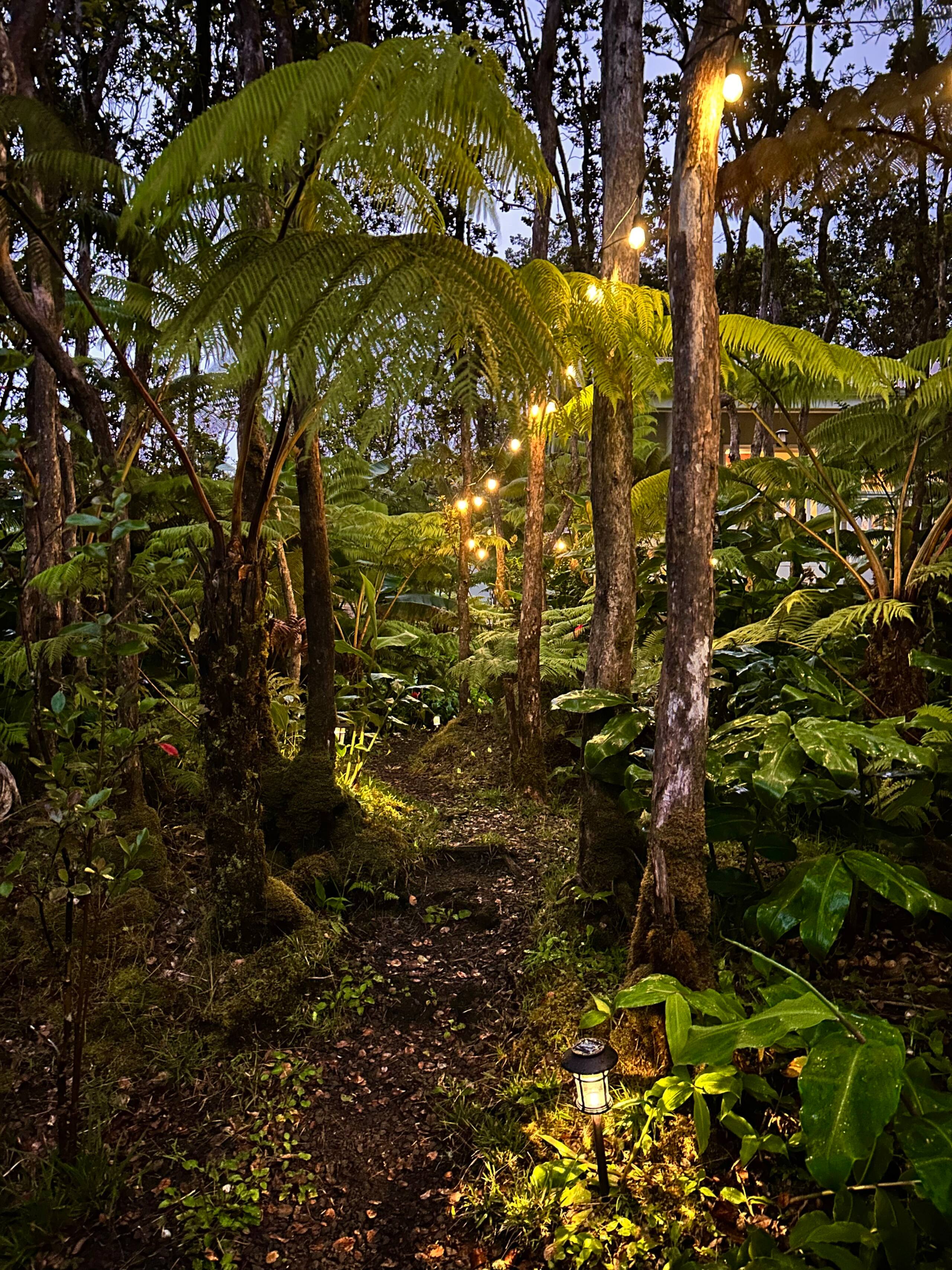 Hale Ohana- Volcano, HI - Photo 49