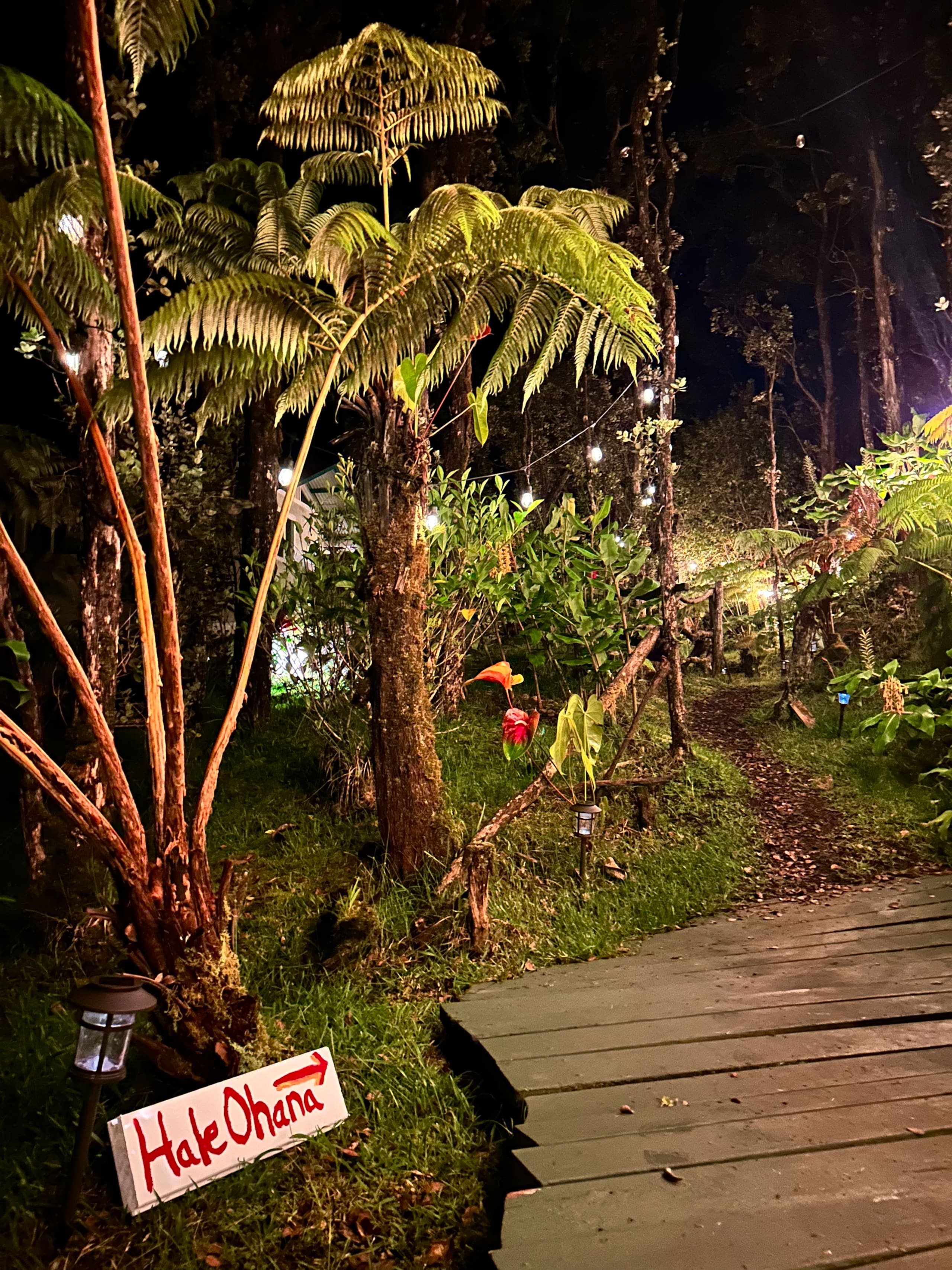Hale Ohana- Volcano, HI - Photo 58