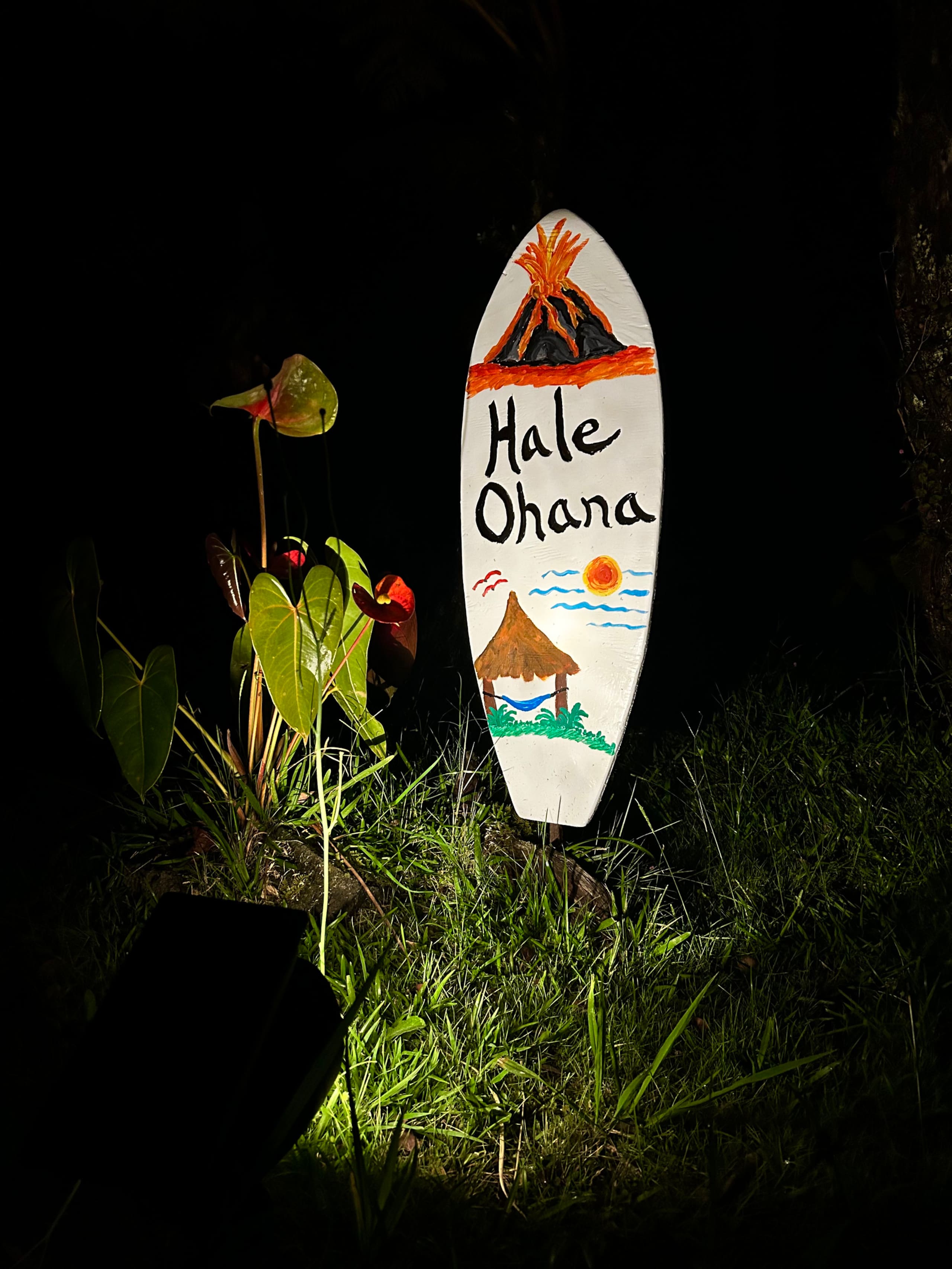 Hale Ohana- Volcano, HI - Photo 57