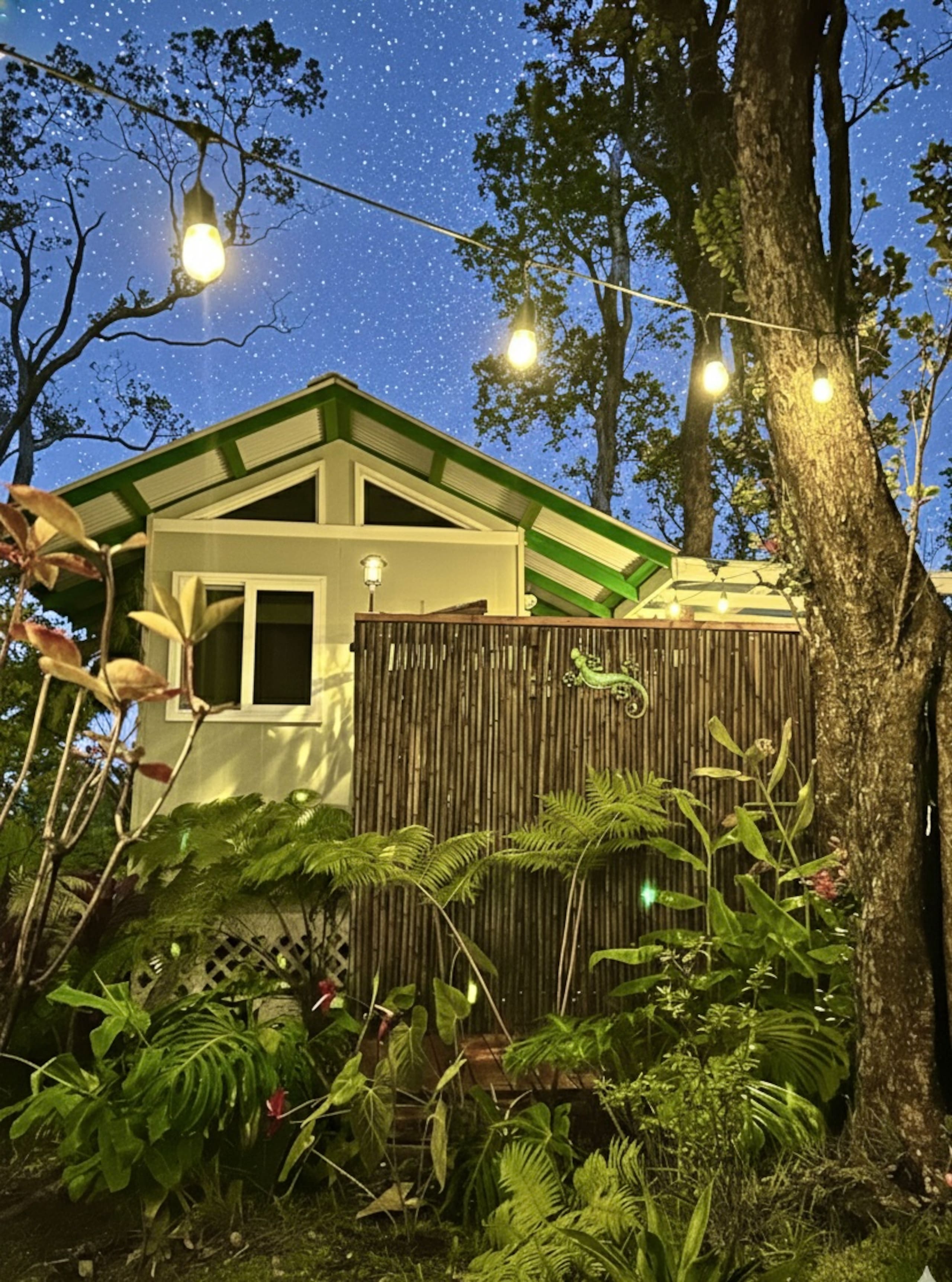 Hale Ohana- Volcano, HI - Photo 65