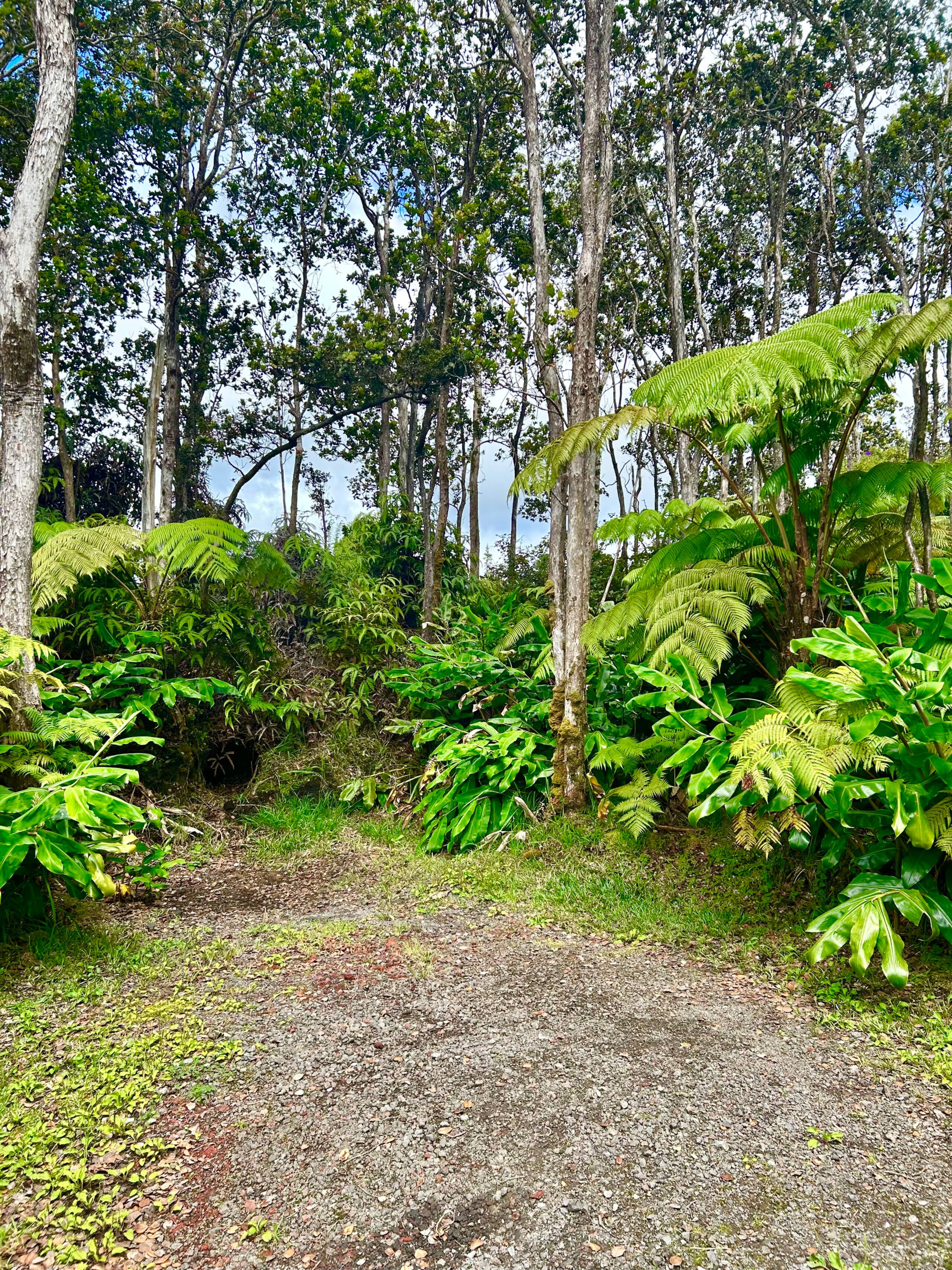 Hale Ohana- Volcano, HI - Photo 40