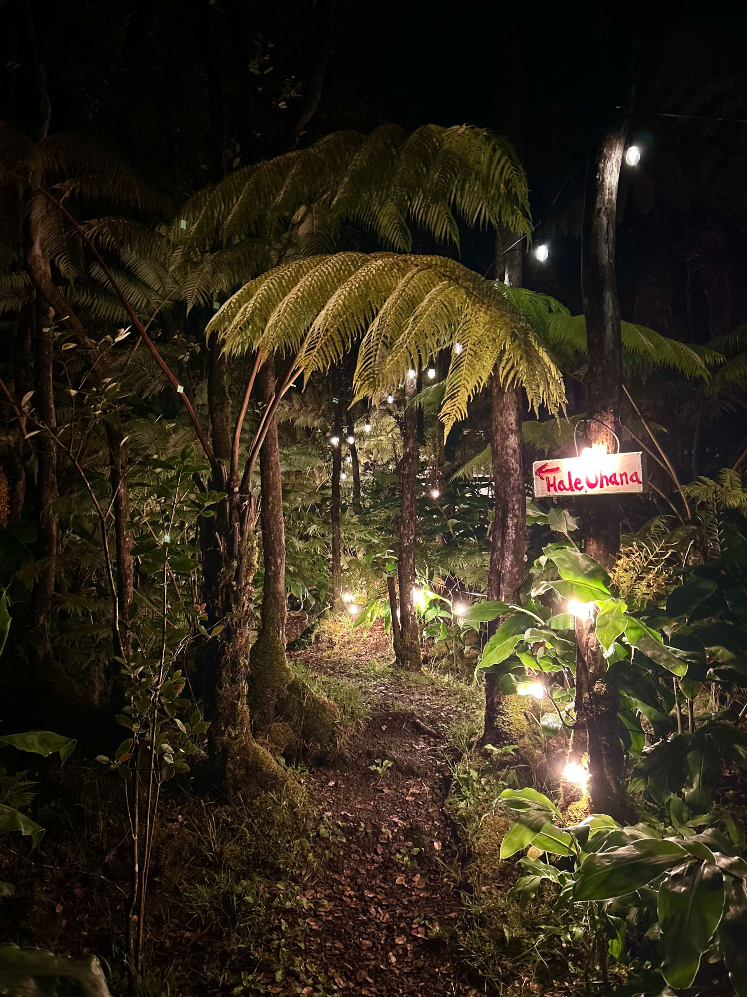 Hale Ohana- Volcano, HI - Photo 59