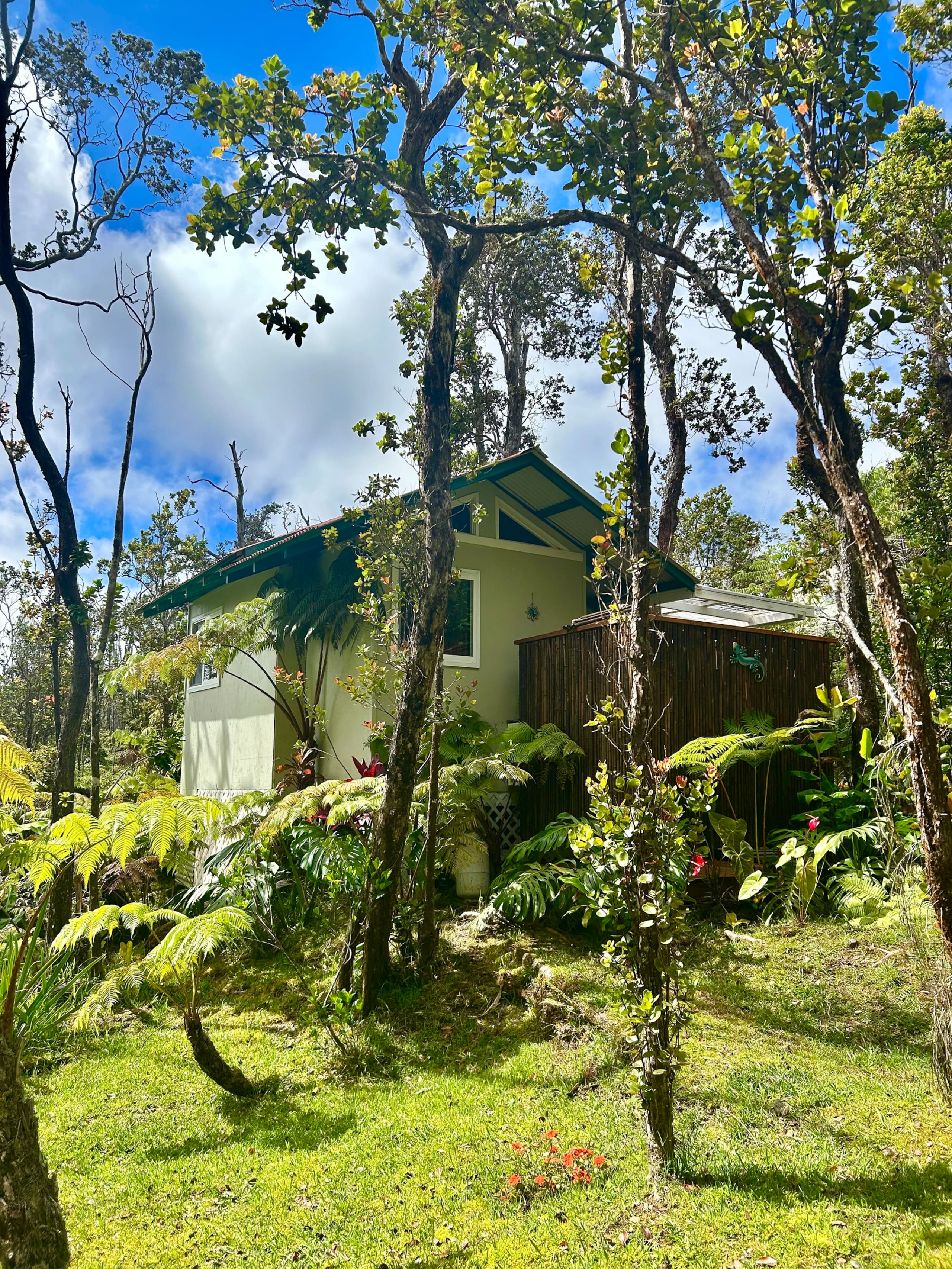Hale Ohana- Volcano, HI - Photo 13