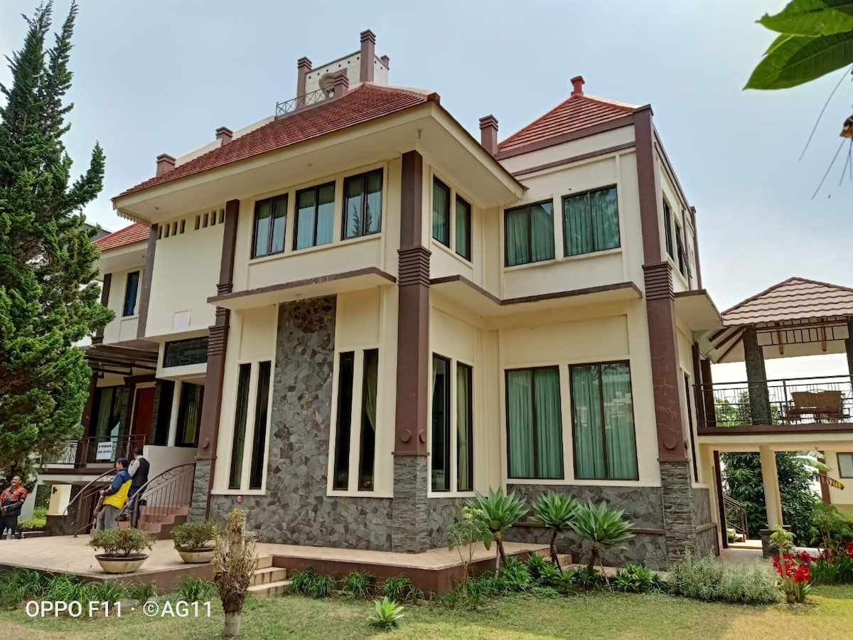 A spacious villa is shown with a blend of stone and modern architecture. Large windows allow natural light to fill the interior. The surrounding landscaped yard features various plants and a pathway leading to the entrance, enhancing the inviting atmosphere.