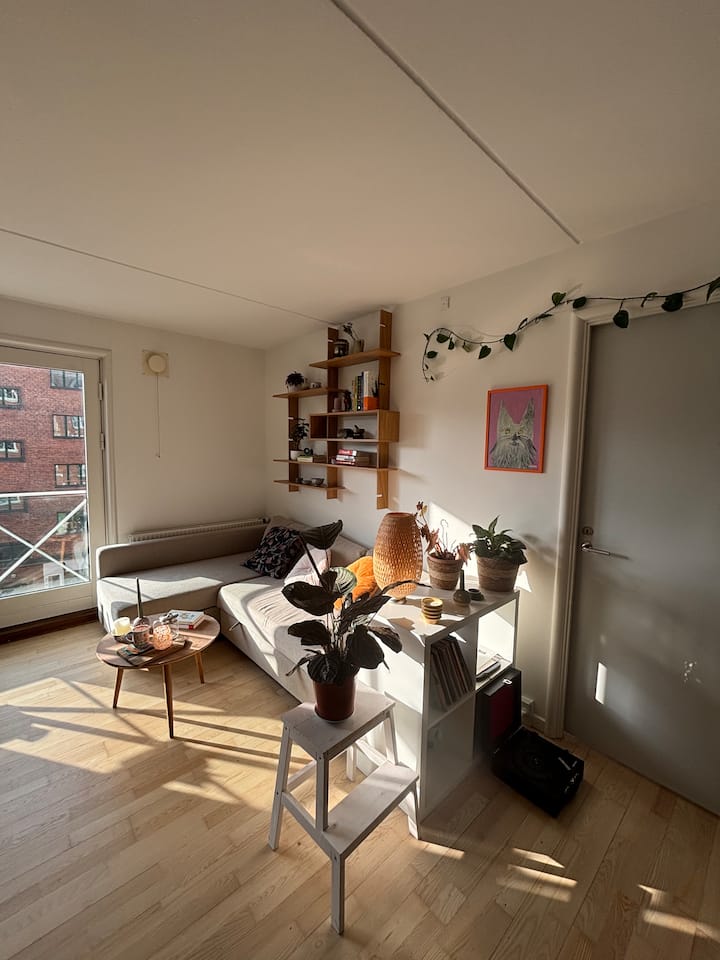 Central And Cosy Apartment In Copenhagen -