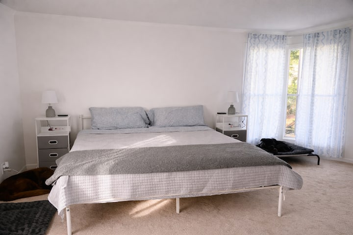 Habitación 1