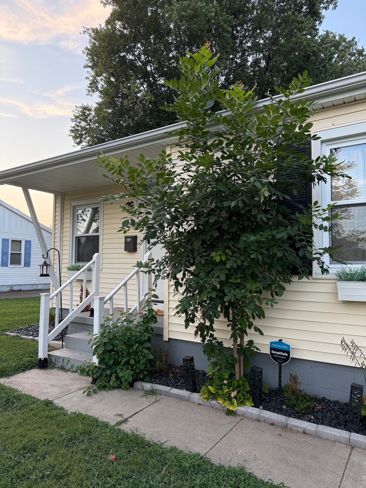 The exterior of a charming yellow house is shown, featuring a front porch with white railings. A tall tree and lush greenery provide natural accents. Sidewalks lead to the entrance, with tidy landscaping along the path, offering a welcoming appearance.