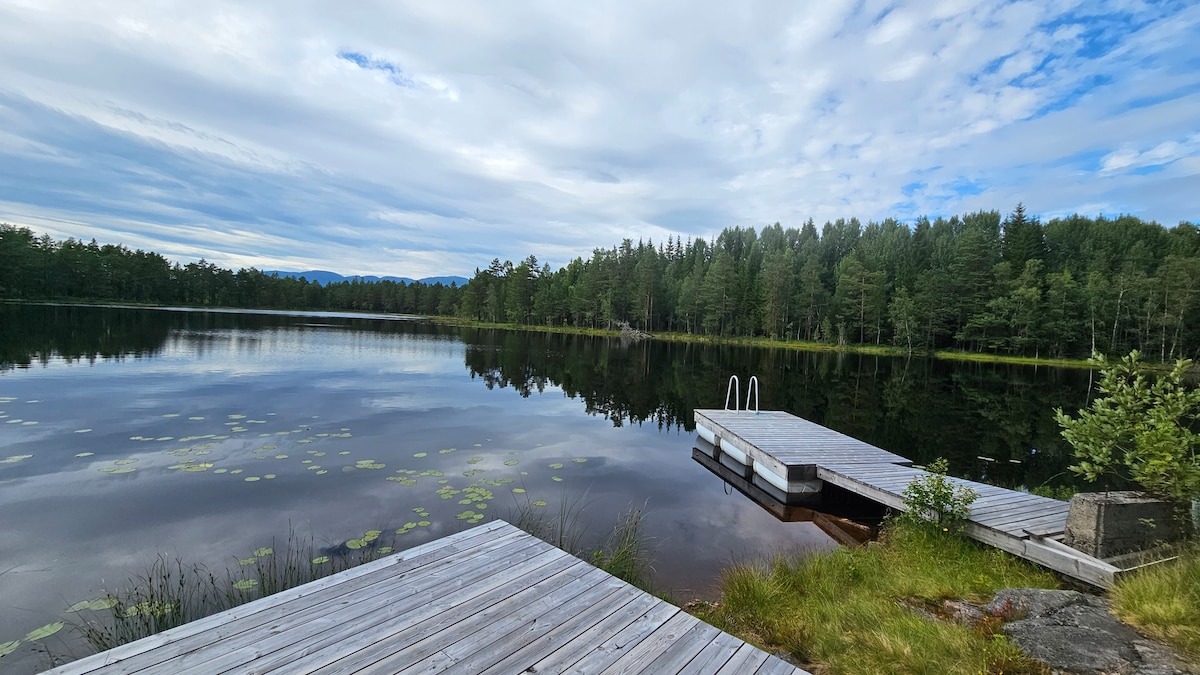 A serene lake view is presented, featuring a wooden dock extending into calm waters. Lush forests frame the backdrop while subtle lily pads float on the surface. Soft clouds drift above, reflecting light across the water, enhancing the peaceful natural surroundings.