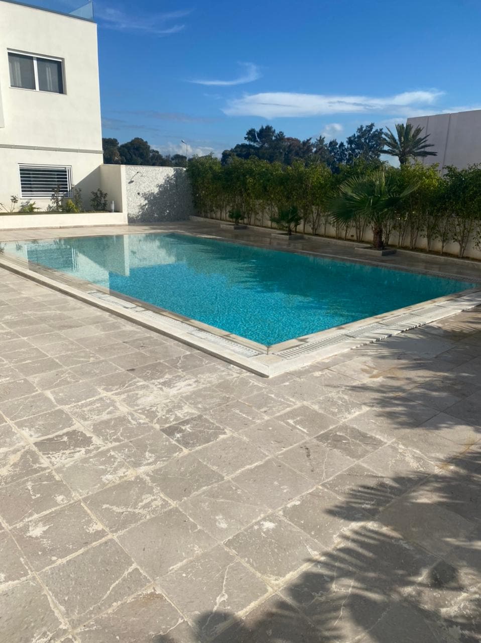 A private community pool is situated within a landscaped area, surrounded by lush greenery. The pool's clear water reflects the sky, creating a serene atmosphere. The surrounding patio features stone tiles, providing a spacious area for relaxation and enjoyment.