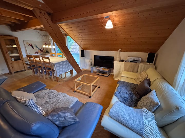 Gemütliche Ferienwohnung In Neuenweg - Belchen