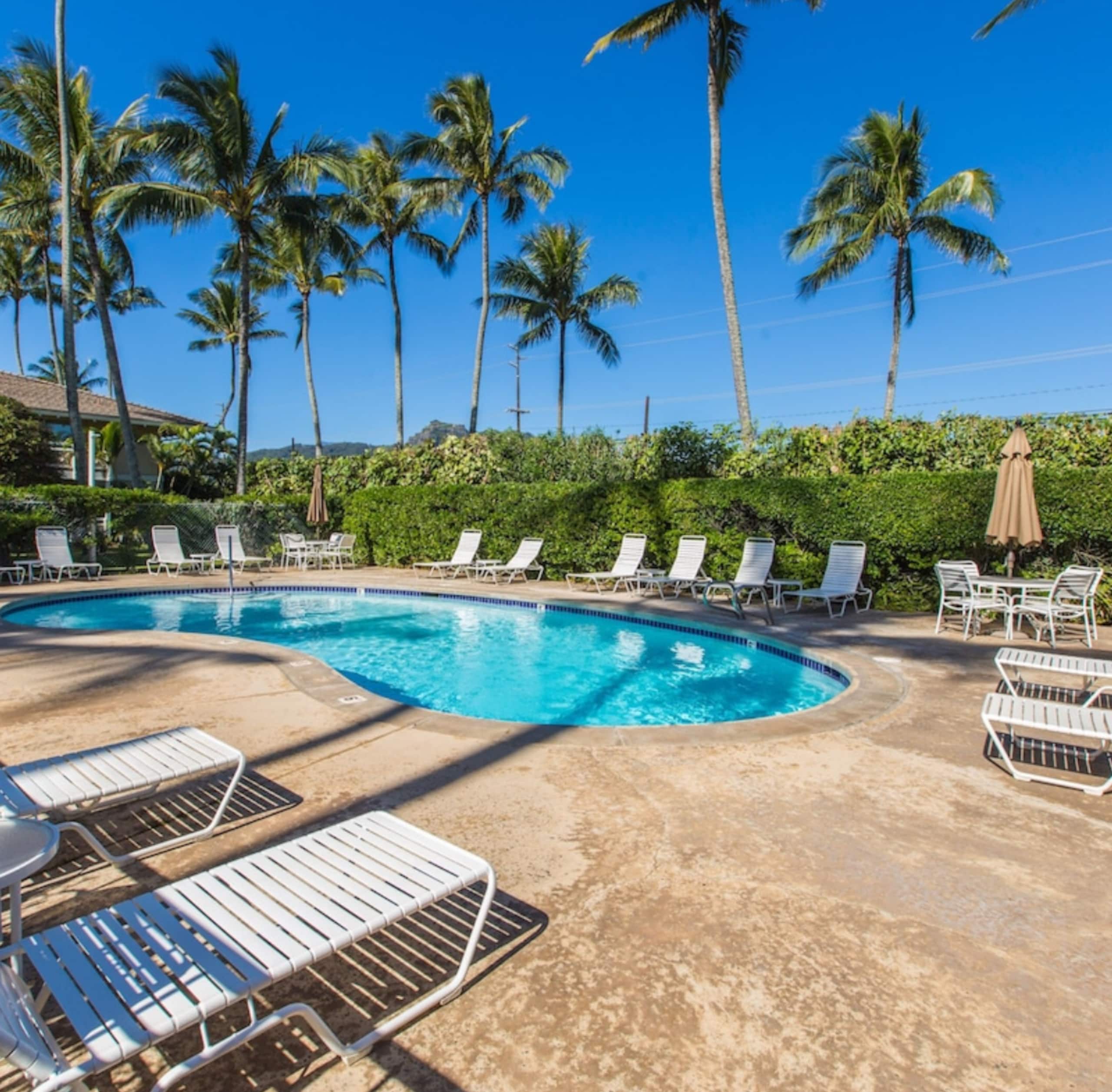 Ocean Views A/C NEW 1 King Bed Beach Pool BBQ - Photo 43