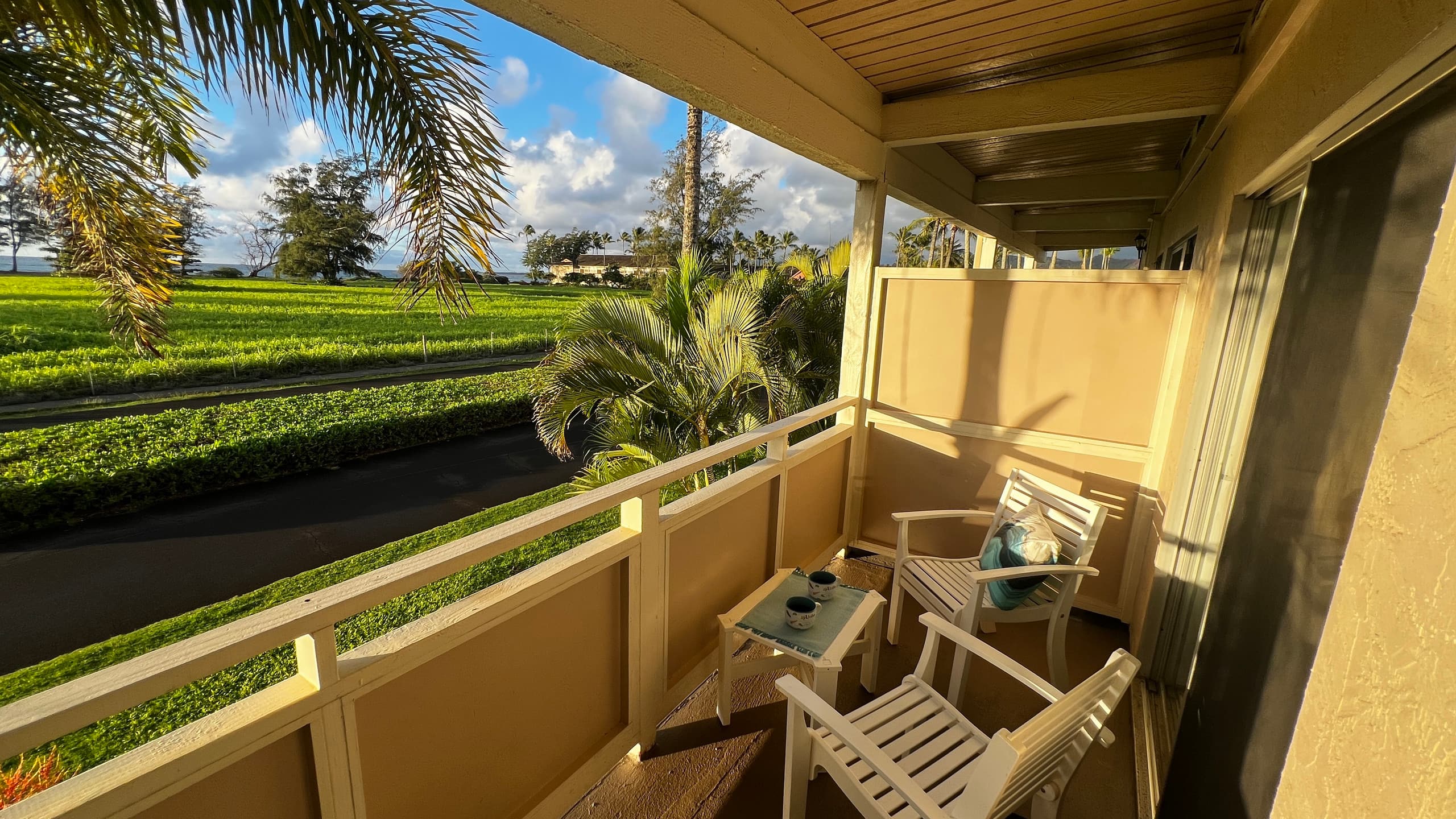Ocean Views A/C NEW 1 King Bed Beach Pool BBQ - Photo 25