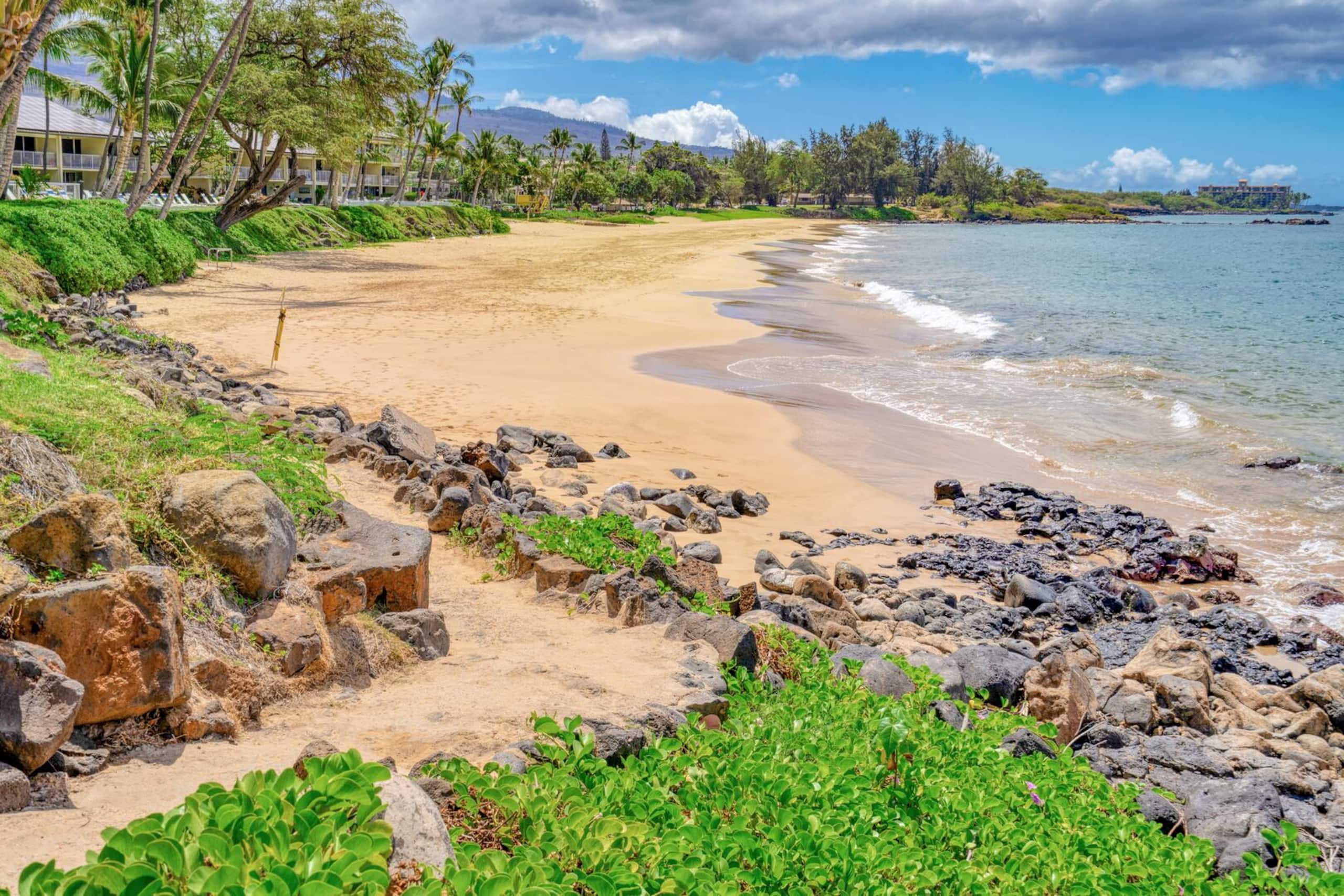 Condo in Kihei · ★5.0 · 2 bedrooms · 3 beds · 2 baths - Image 54