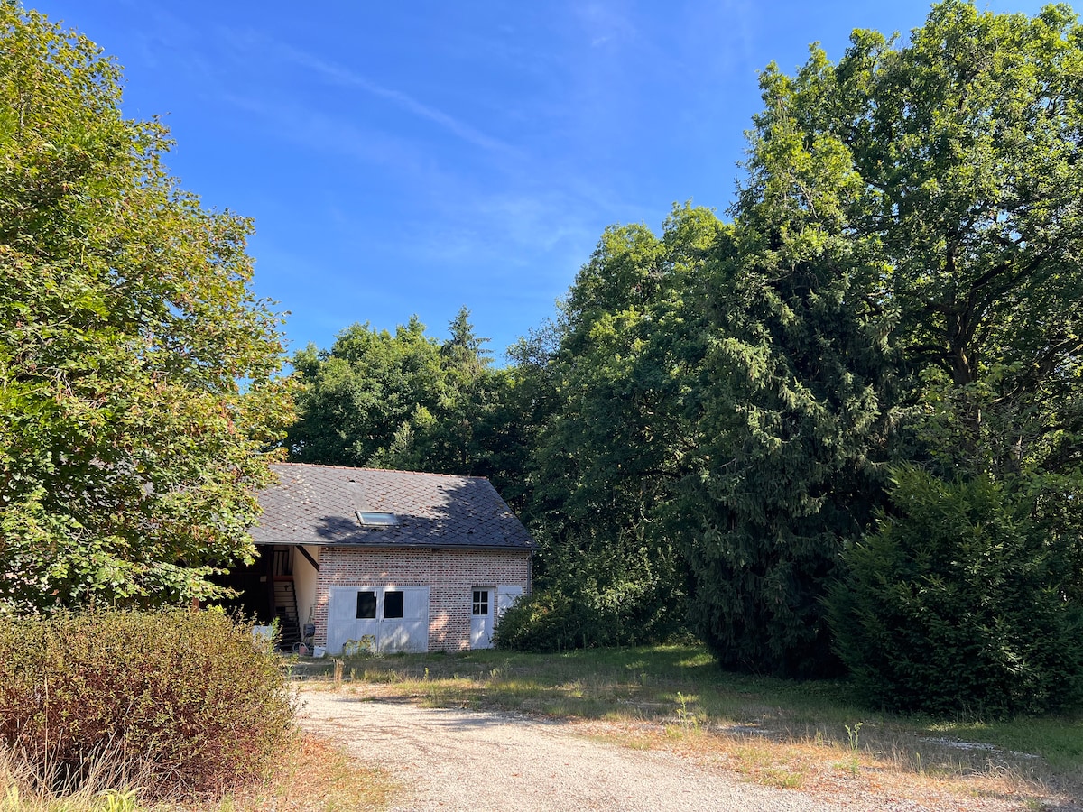 غرفة النوم 5