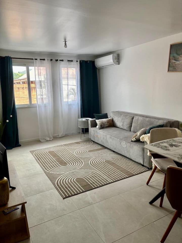 Appart T2  Cosy Climatisé Ville, Balcon - 馬丁尼克