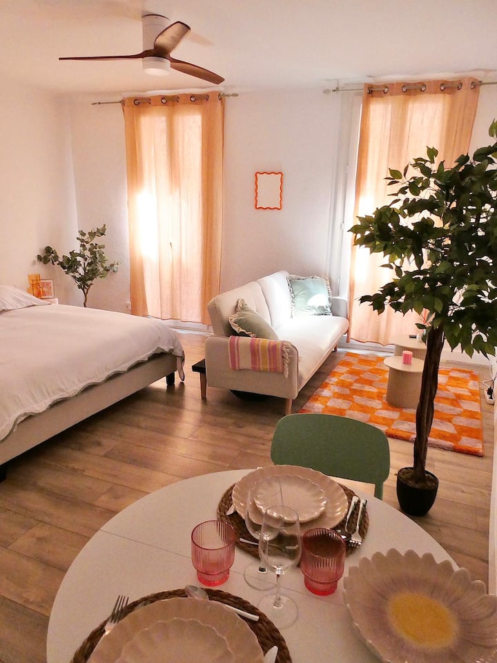 Studio Terrasse Rooftop Plein Centre / Wifi Fibre - Rivesaltes