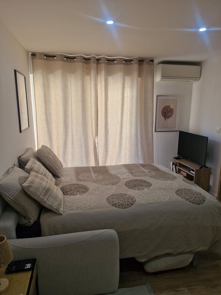 Appartement Entièrement Rénové A 100 M De La Mer - Var