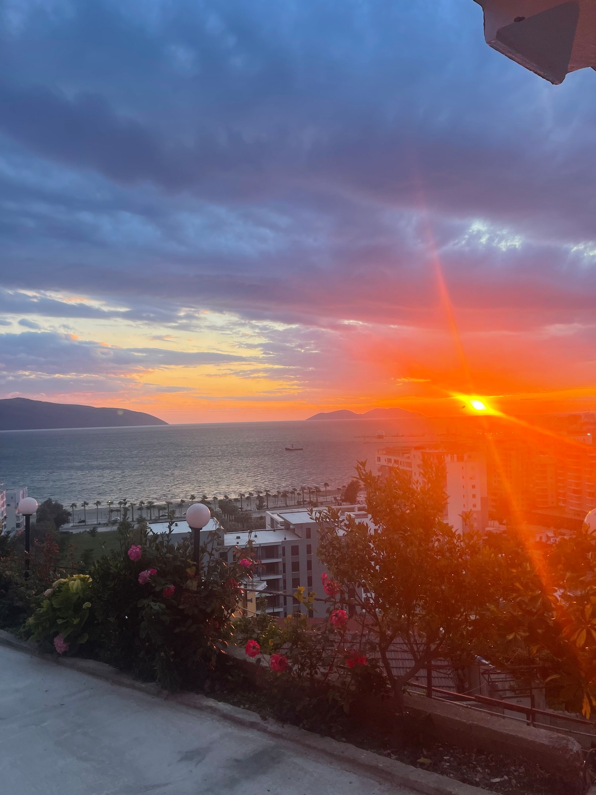 Listing 1463944787973980939