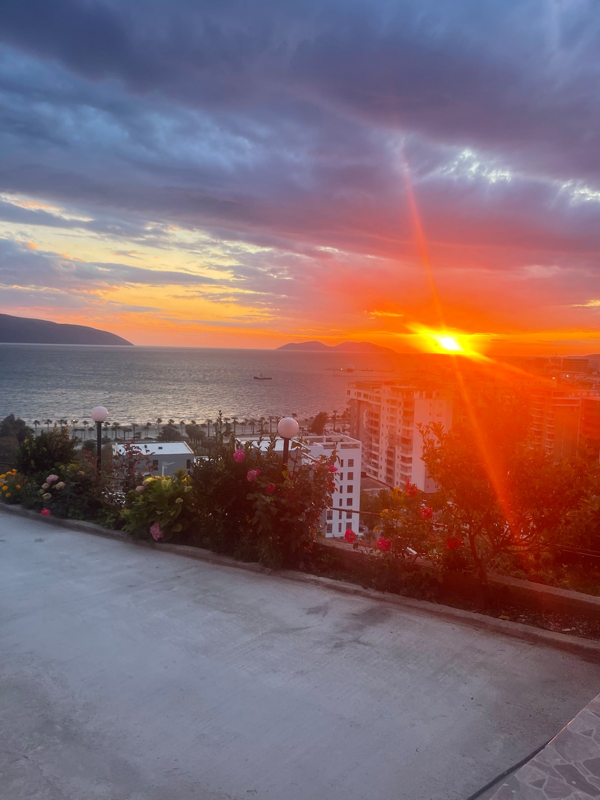 Listing 1463944787973980939