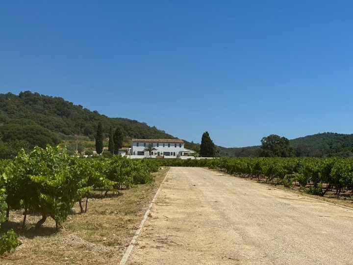 Domaine Villa Vigna Grimaud/st Tropez - Grimaud
