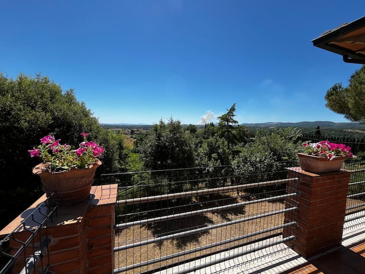 Podere Campanella - Sinalunga