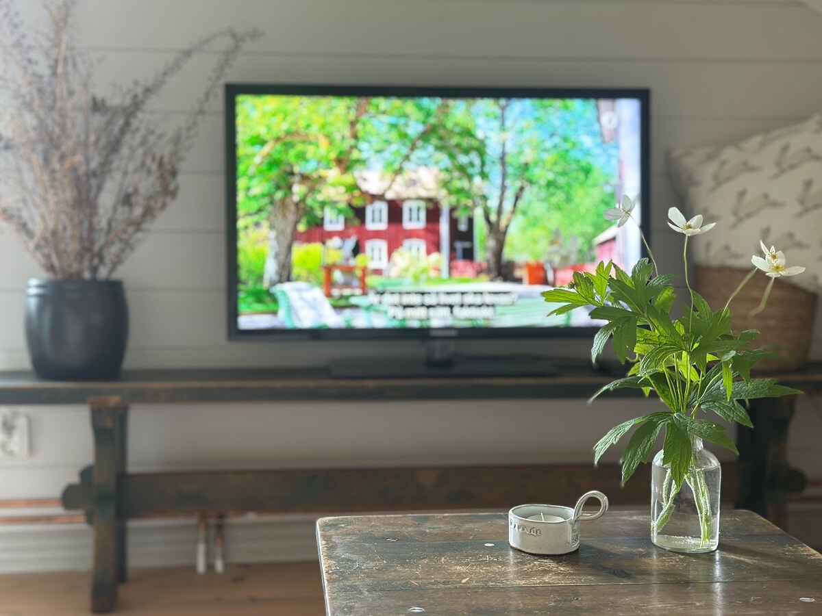 غرفة المعيشة