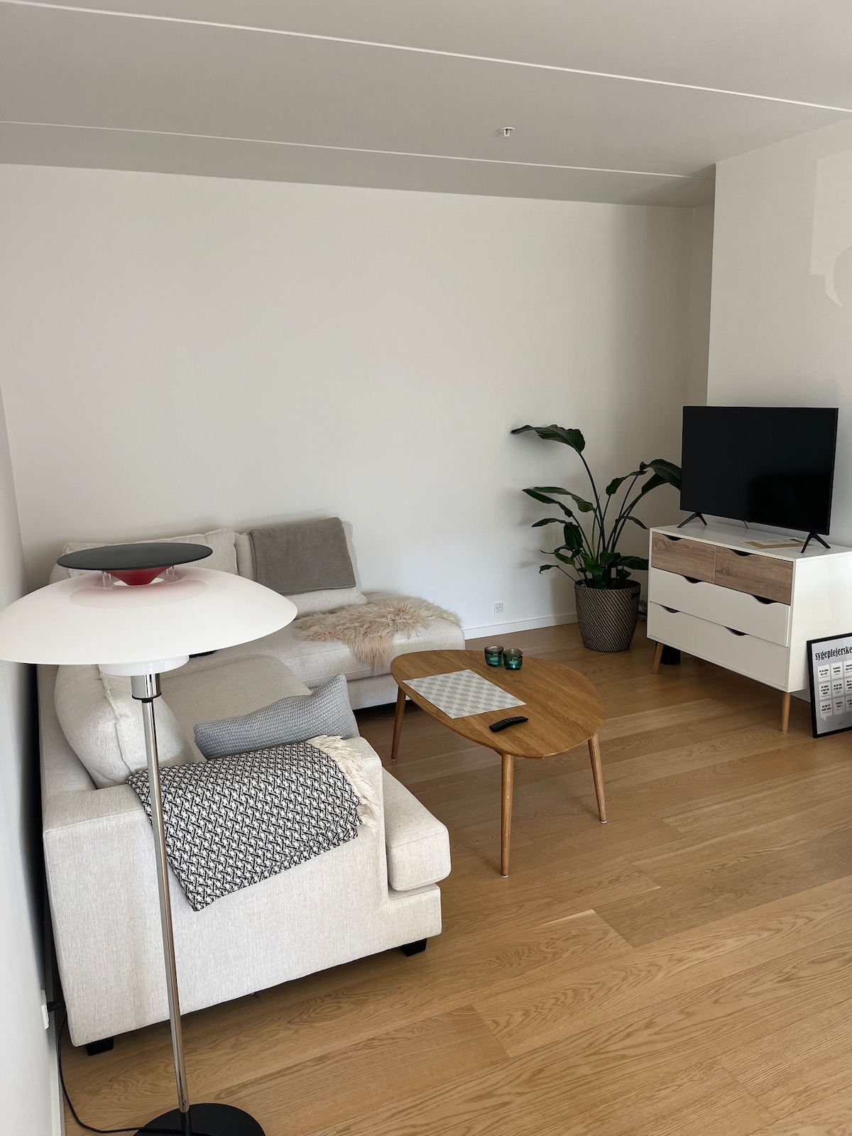 A bright living area is featured, furnished with a light-colored sofa and a wooden coffee table. A floor lamp stands beside the sofa, and a potted plant adds a touch of greenery. A television is positioned on a modern chest of drawers against the wall.