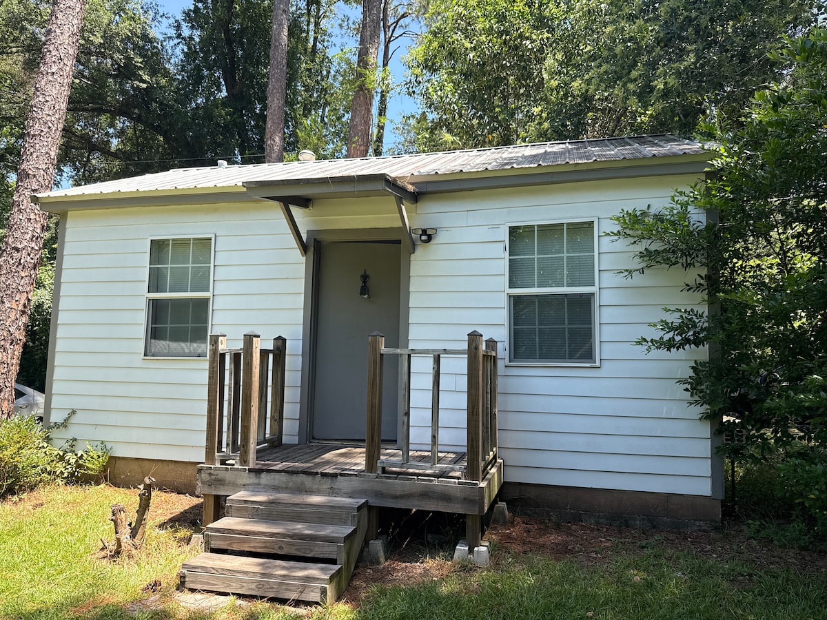 The exterior of a tiny home is shown, featuring a light-colored wood siding and a front porch with steps leading up. Two windows are visible on either side of the door, framed by greenery. Sunlight filters through the surrounding trees, enhancing the inviting entrance.