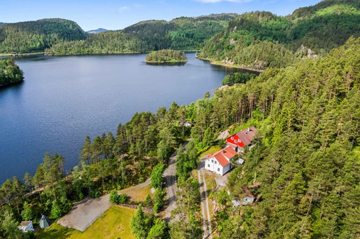 An aerial view captures a serene landscape of water surrounded by lush greenery. A cluster of trees frames a charming house with a red roof, while a winding road leads through the area. Various shades of green create a peaceful backdrop, enhancing the natural setting.